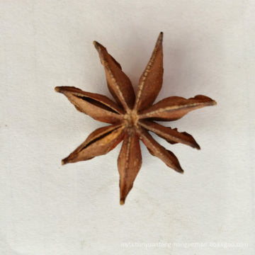 2016 new harvest 99% purity natural autumn or spring star anise